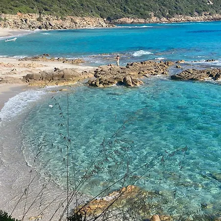 D'hôtes - Fiore Di Machja * Coti-Chiavari (Corsica)