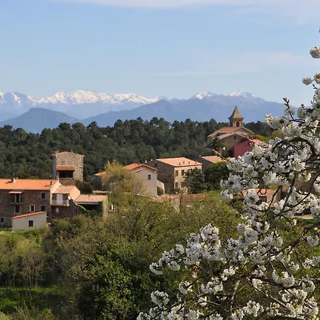 Fiore Di Machja Coti-Chiavari (Corsica)
