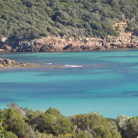 Fiore Di Machja Coti-Chiavari (Corsica)