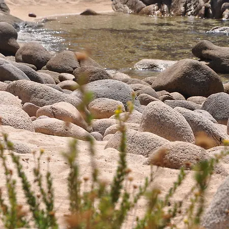 Fiore Di Machja Coti-Chiavari (Corsica)