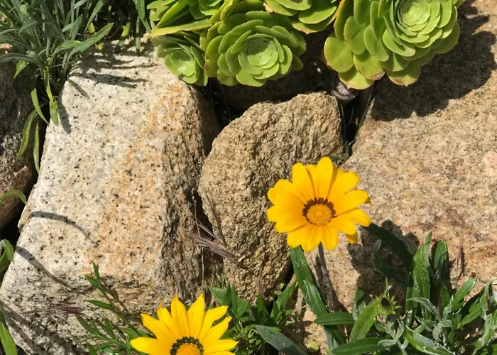 Fiore Di Machja Bed & Breakfast Coti-Chiavari (Corsica)