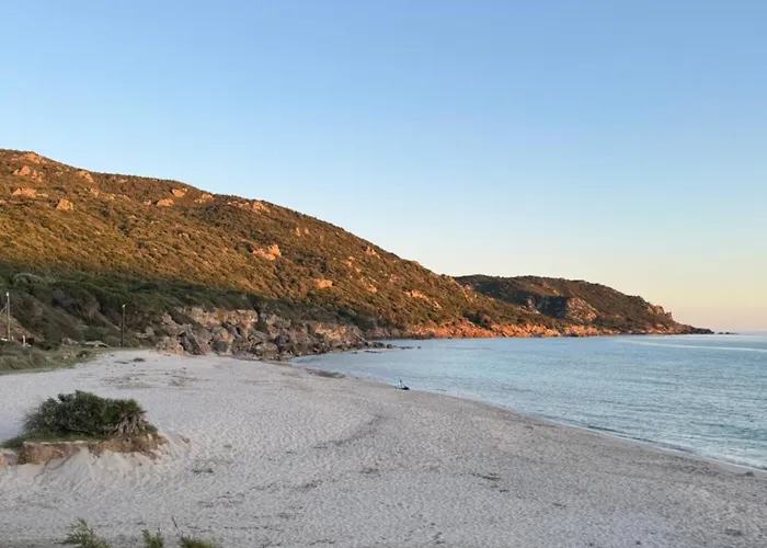 Fiore Di Machja Coti-Chiavari (Corsica)