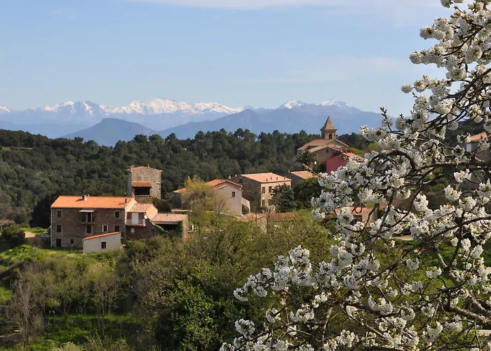 Fiore Di Machja Coti-Chiavari (Corsica)