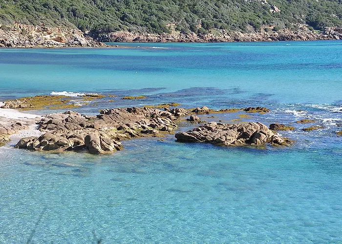 Fiore Di Machja Coti-Chiavari (Corsica)