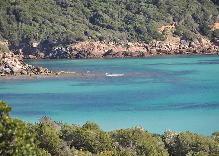 Fiore Di Machja Coti-Chiavari (Corsica)