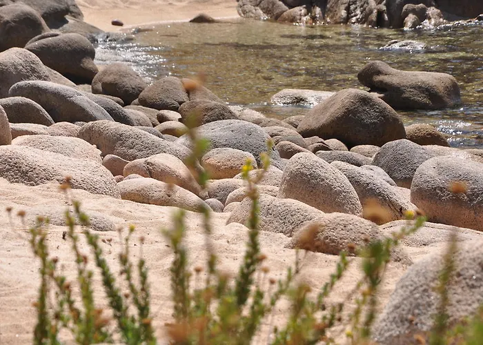 Fiore Di Machja Coti-Chiavari (Corsica)